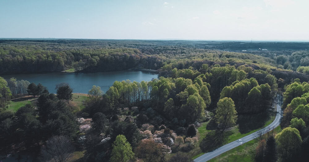 Aerial view of a serene lake nestled among spring forests, with dogwood trees in bloom and a winding road cutting through the verdant landscape.