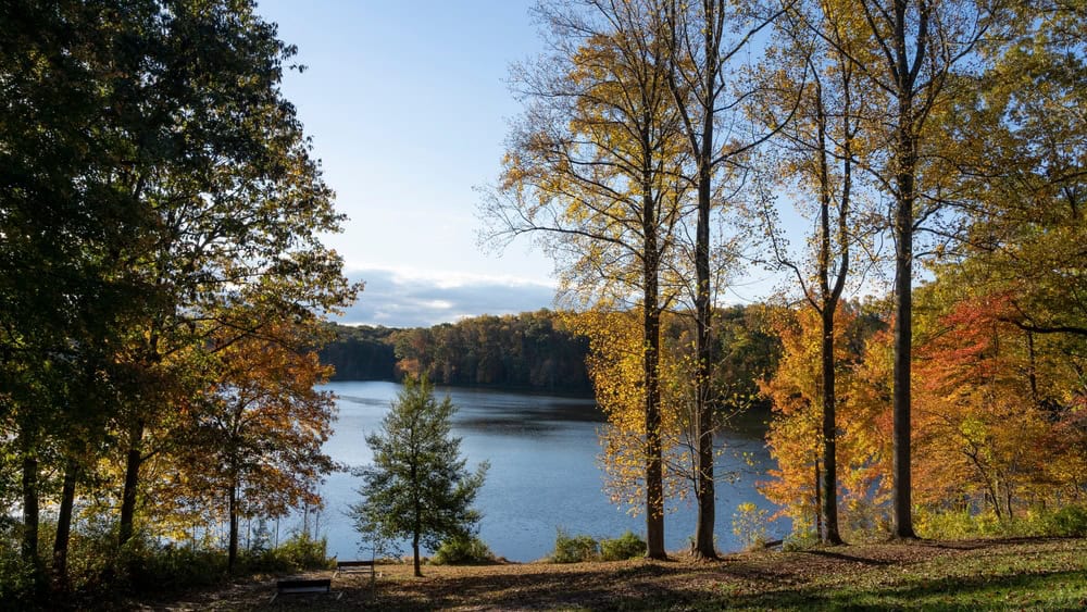 Autumn colors frame a serene lake view, where golden and russet leaves contrast with the calm blue water on a bright fall afternoon.