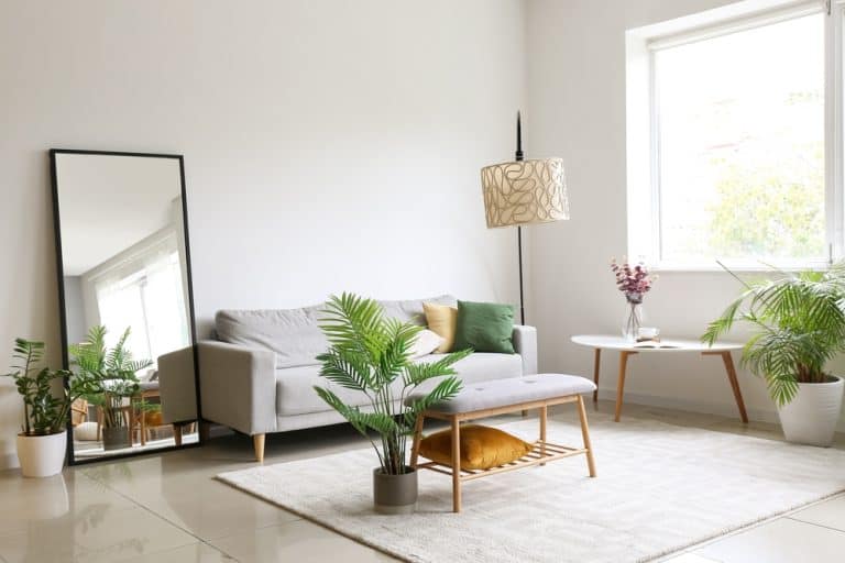 Serene living room with a touch of greenery.