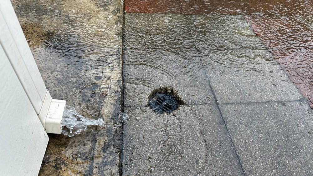 Rainwater rushes from a gutter downspout into a drainage grate.