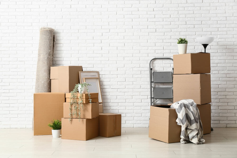 New beginnings in progress — boxes packed, plants ready, and a cozy blanket waiting for its next home.
