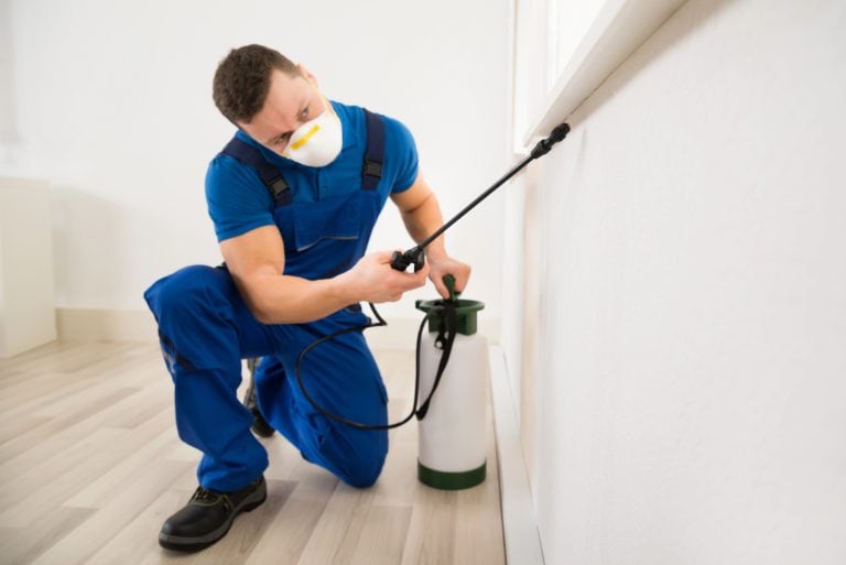 Pest control technician wearing a mask sprays insecticide along a home’s baseboard.