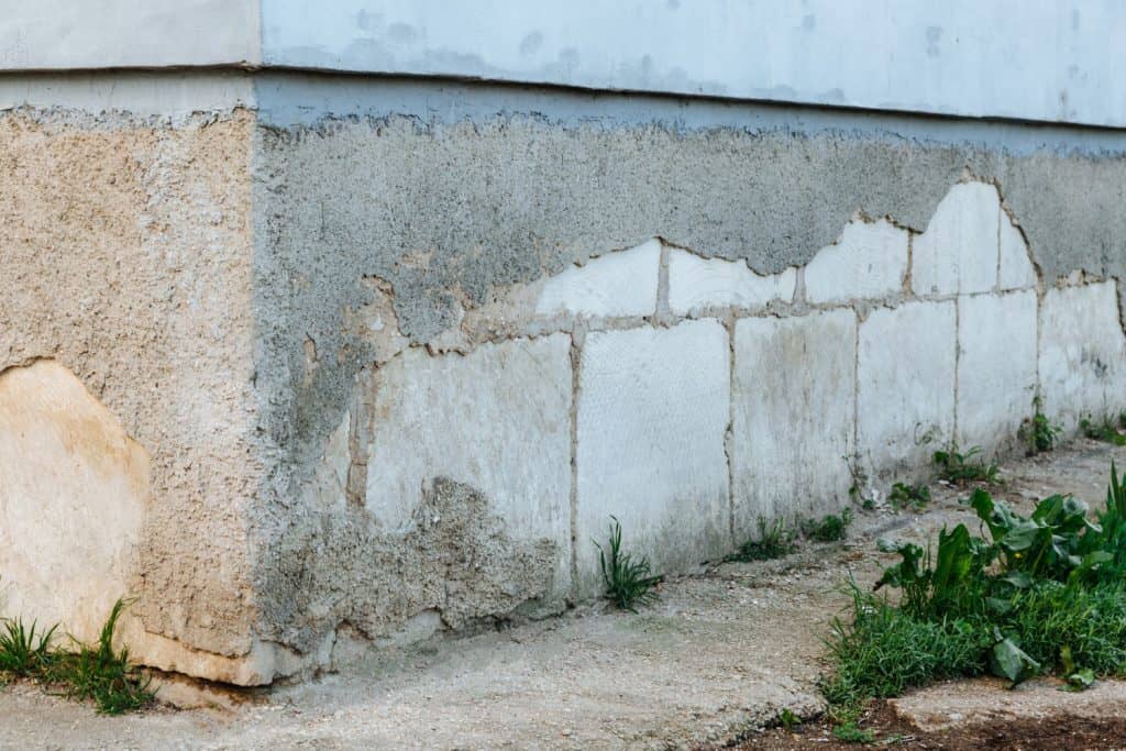 Cracked foundation, resilient greenery.