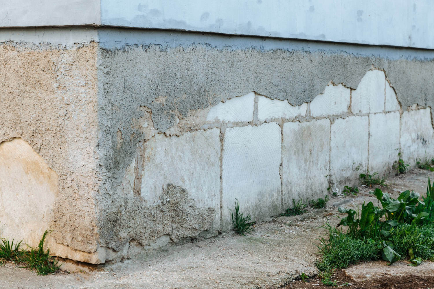 Cracked foundation, resilient greenery.