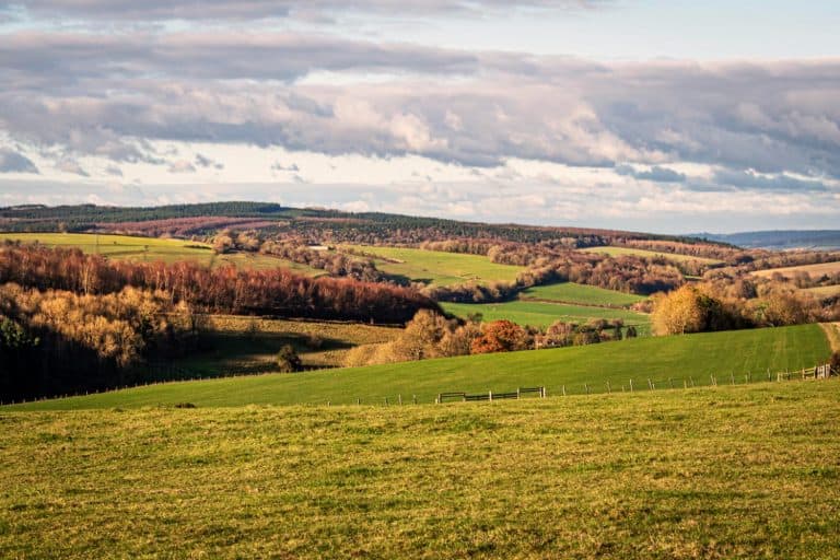 Rolling hills and vibrant autumn foliage under a dramatic sky, painting a serene countryside scene.