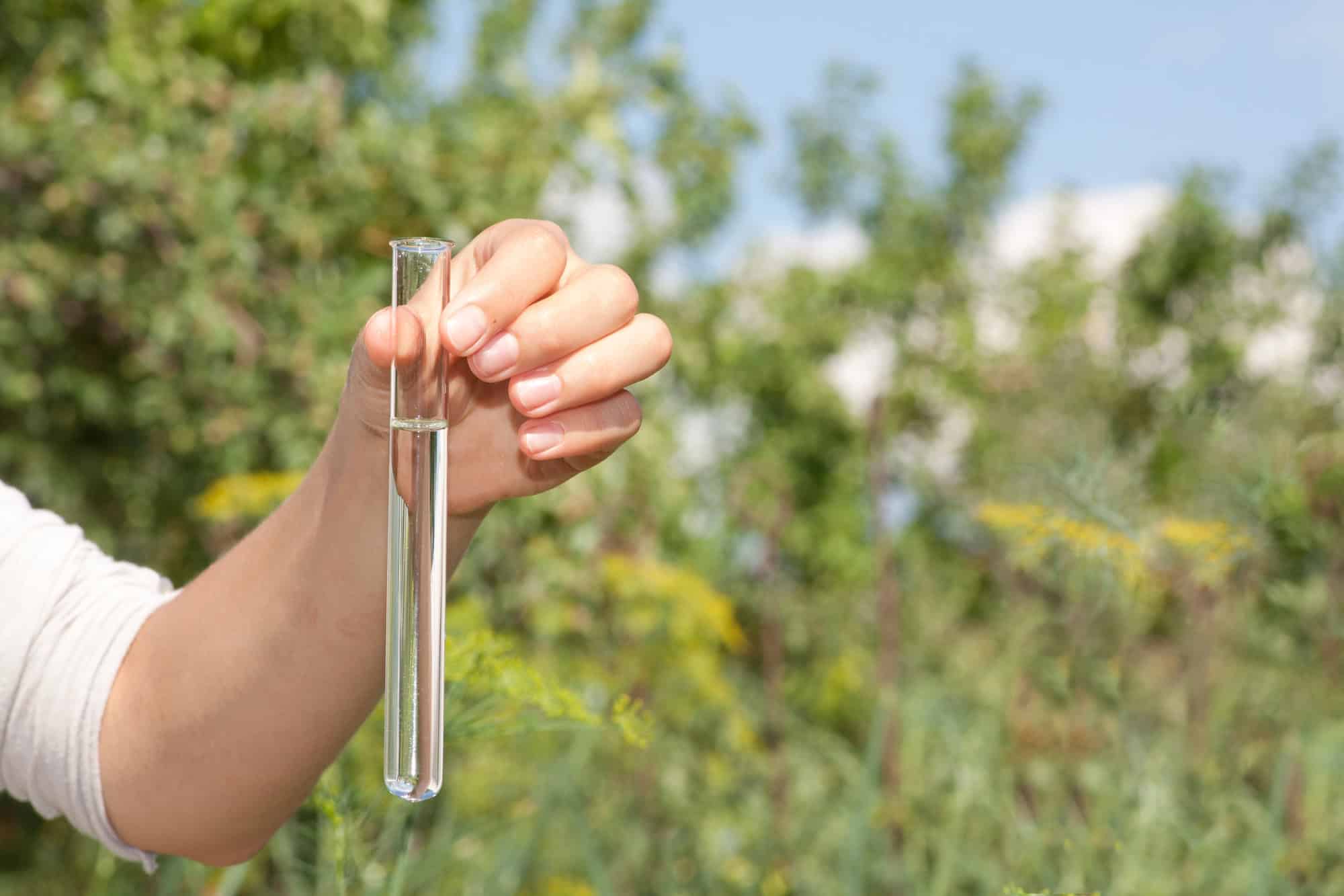 Scientist collecting a water sample in a test tube amid lush greenery for environmental analysis.