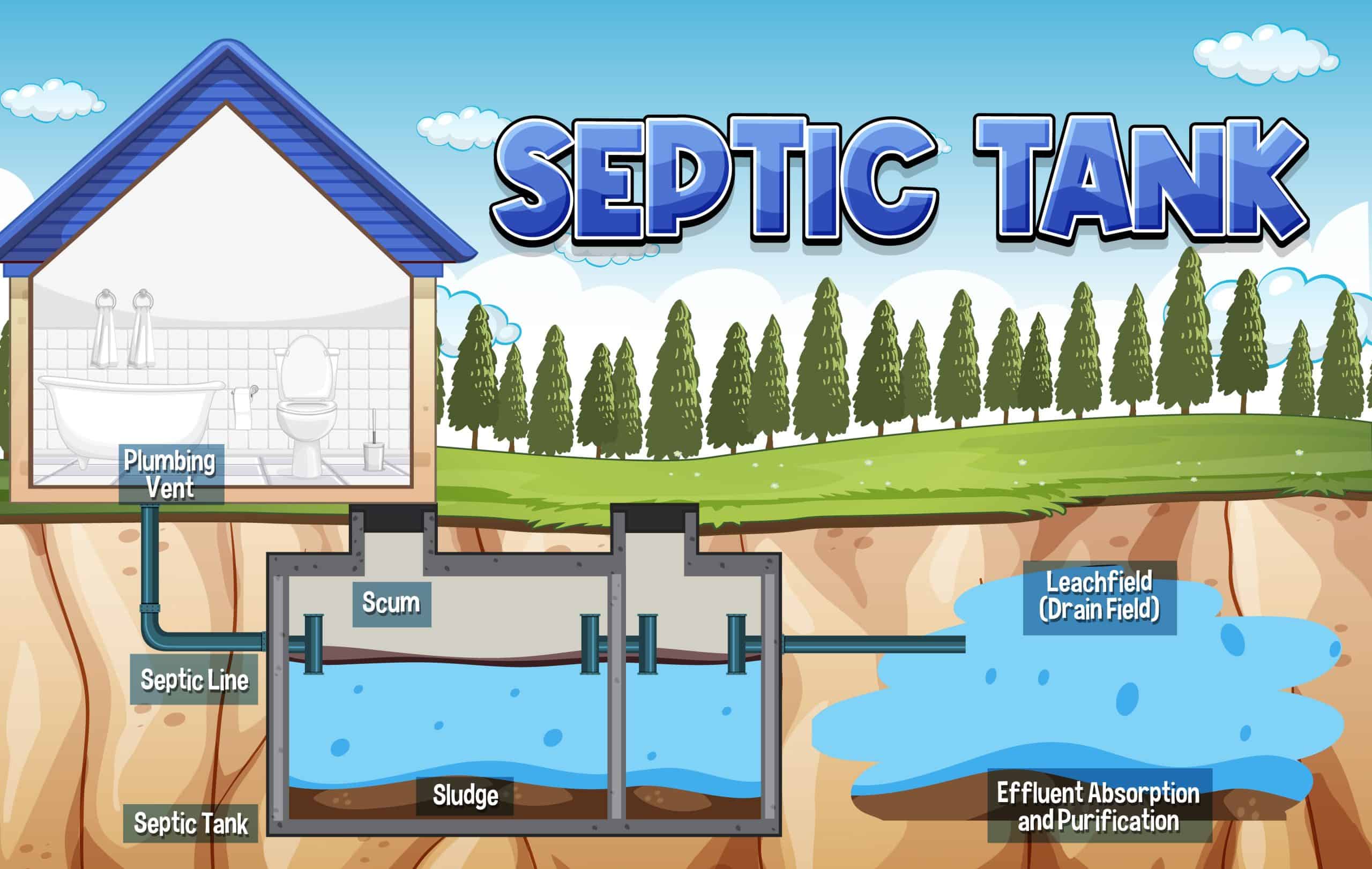 A colorful illustration of a septic tank system, showing the process from plumbing vent to leach field for effluent absorption and purification.