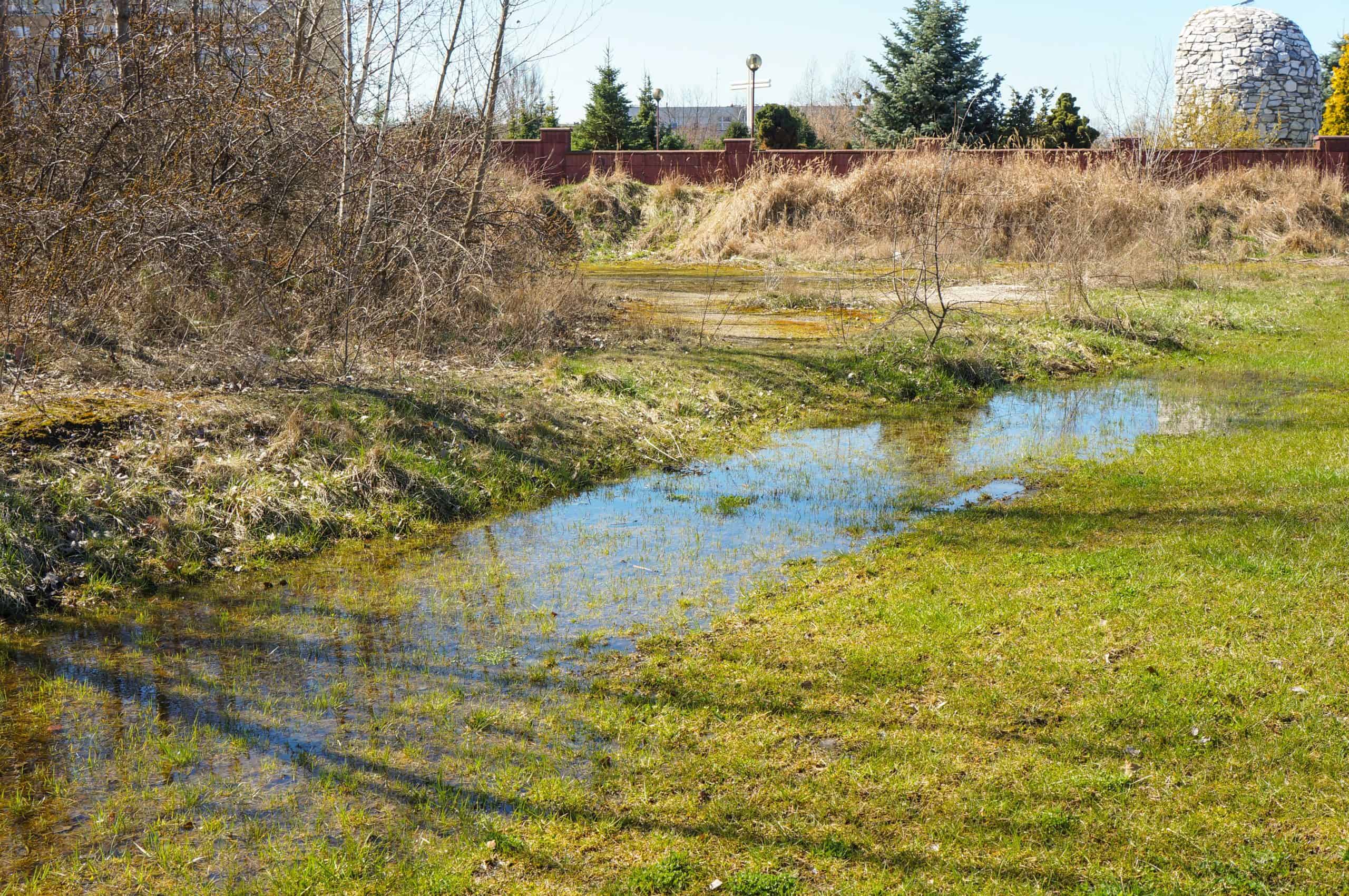 A quiet marshy area with patches of water reflecting a sunny sky, surrounded by dry grass, sparse trees, and a stone dome structure in the background.