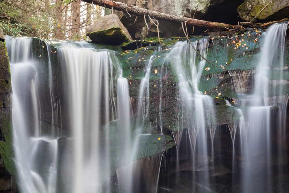 A serene waterfall cascades over moss-covered rocks, creating a tranquil scene in nature's embrace.