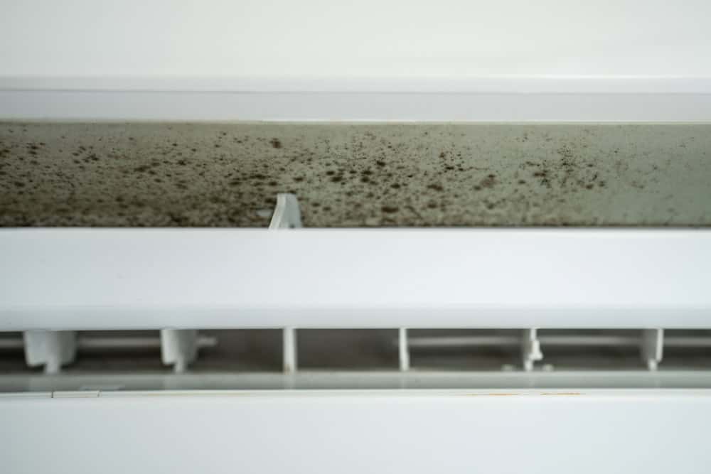 Close-up of mold growing inside an air conditioner vent.